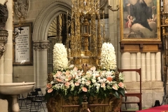 1_WhatsApp-Image-2020-06-11-at-14.29.51