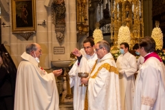 WhatsApp-Image-2020-06-12-at-13.54.17-1