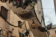 WhatsApp-Image-2025-06-19-at-08.19.24