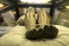 WhatsApp-Image-2020-02-01-at-19.59.43-2