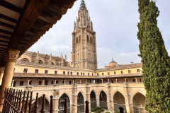 visita-19
